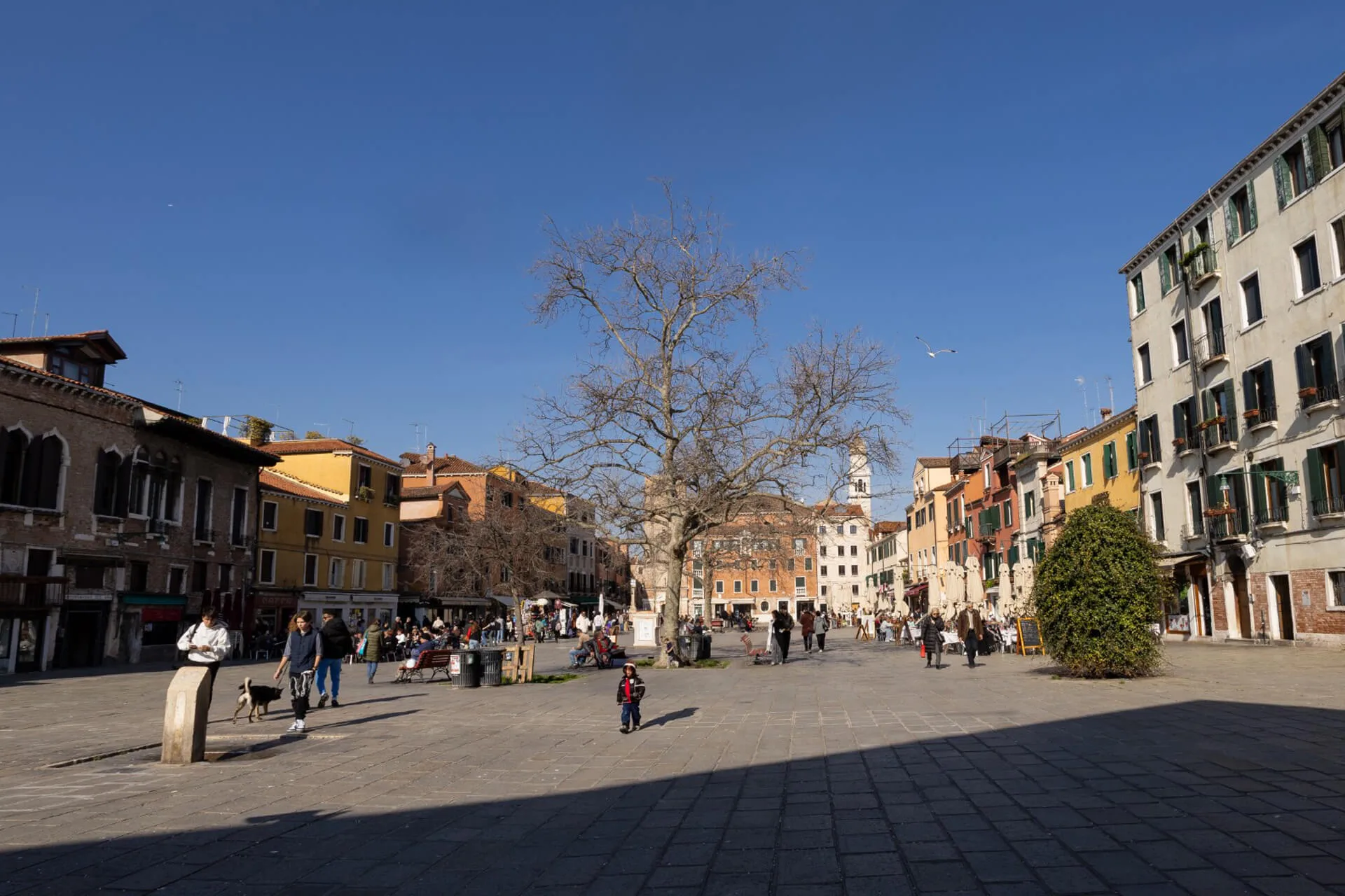 campo santa margherita in Venice